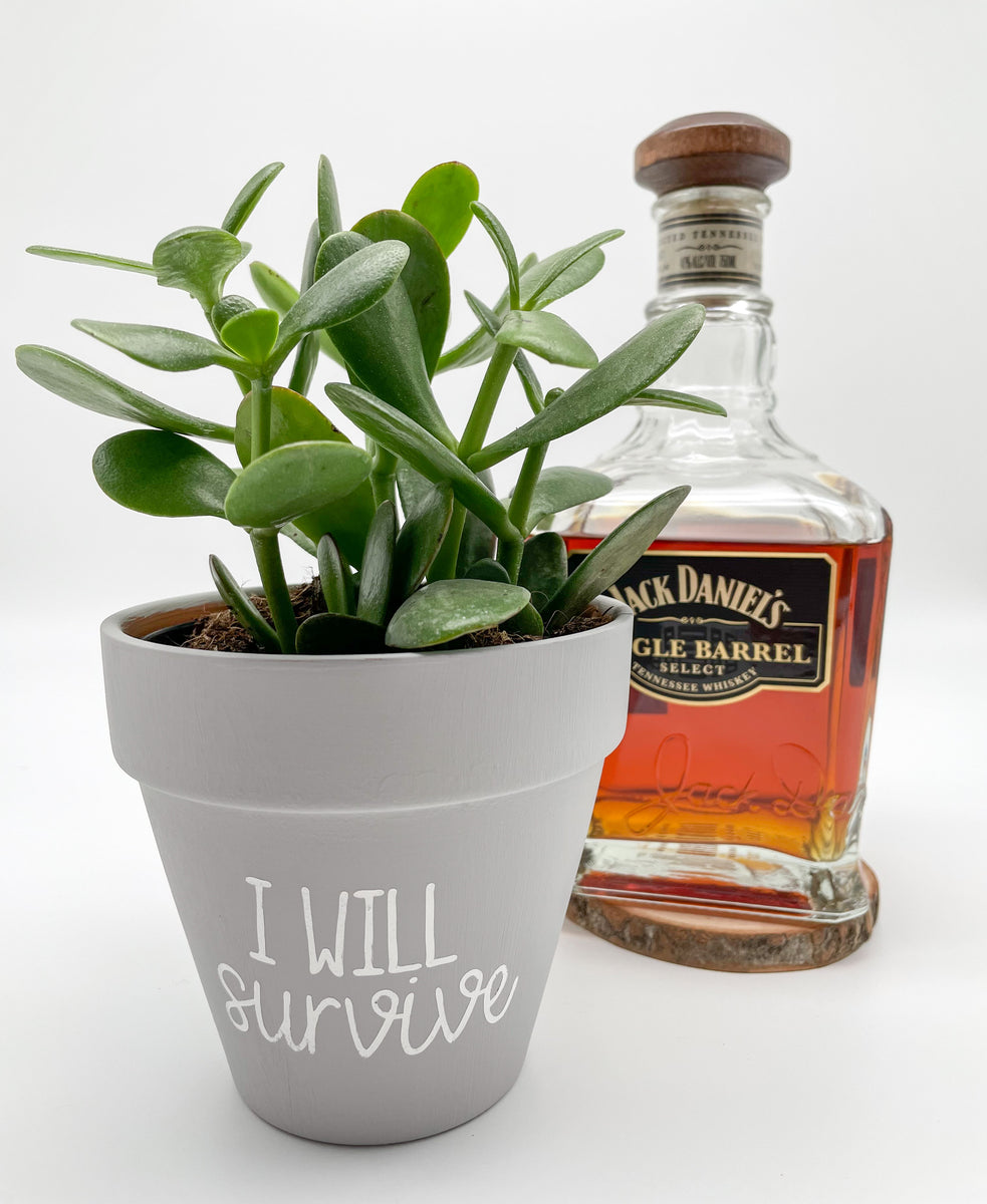 i will survive plant pot I Will Survive Hand-Painted Clay Pot
